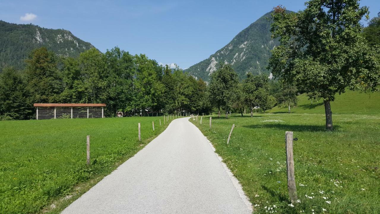 Rooms Mocilnik Begunje na Gorenjskem Exteriér fotografie
