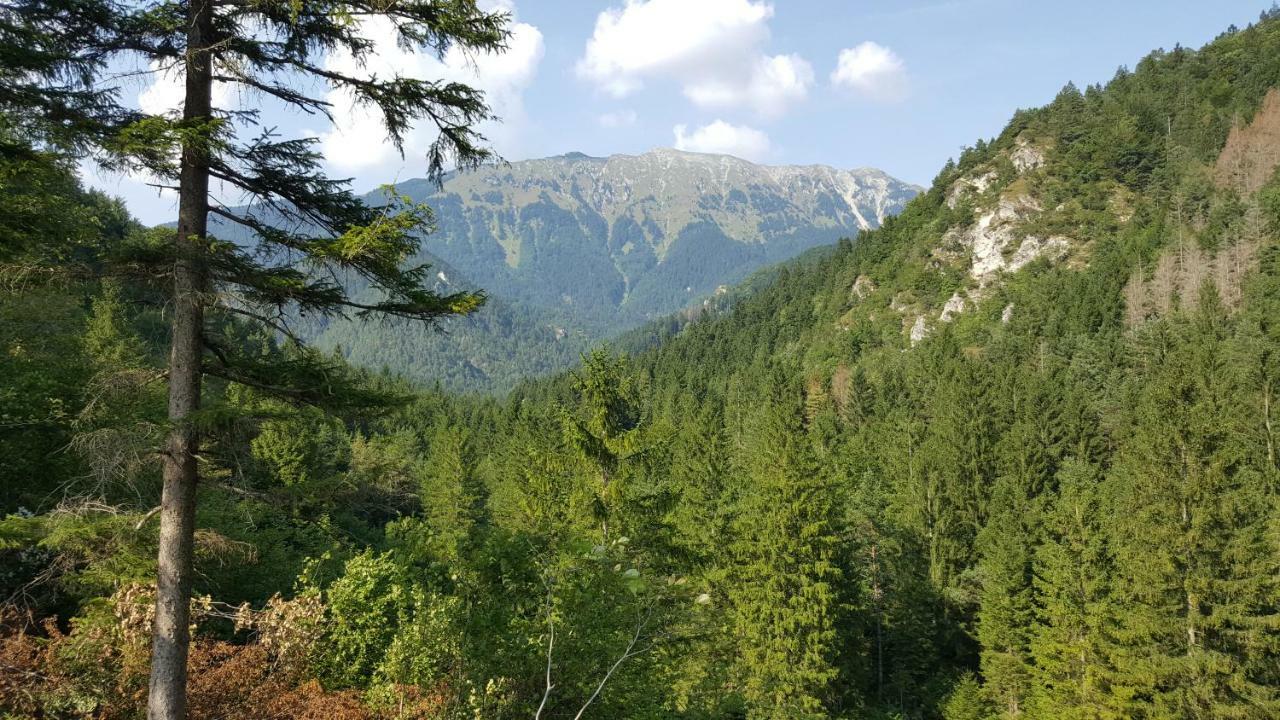 Rooms Mocilnik Begunje na Gorenjskem Exteriér fotografie